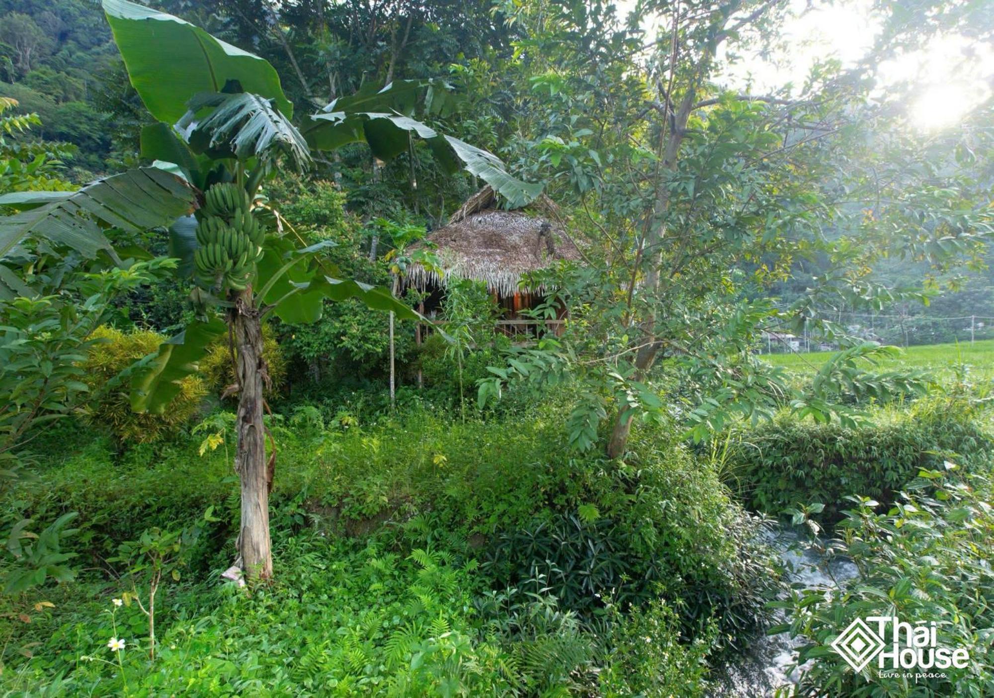 Thai House Pu Luong - Century Old Stilt House With Terrace Views Huong Ba Thuoc Exterior photo