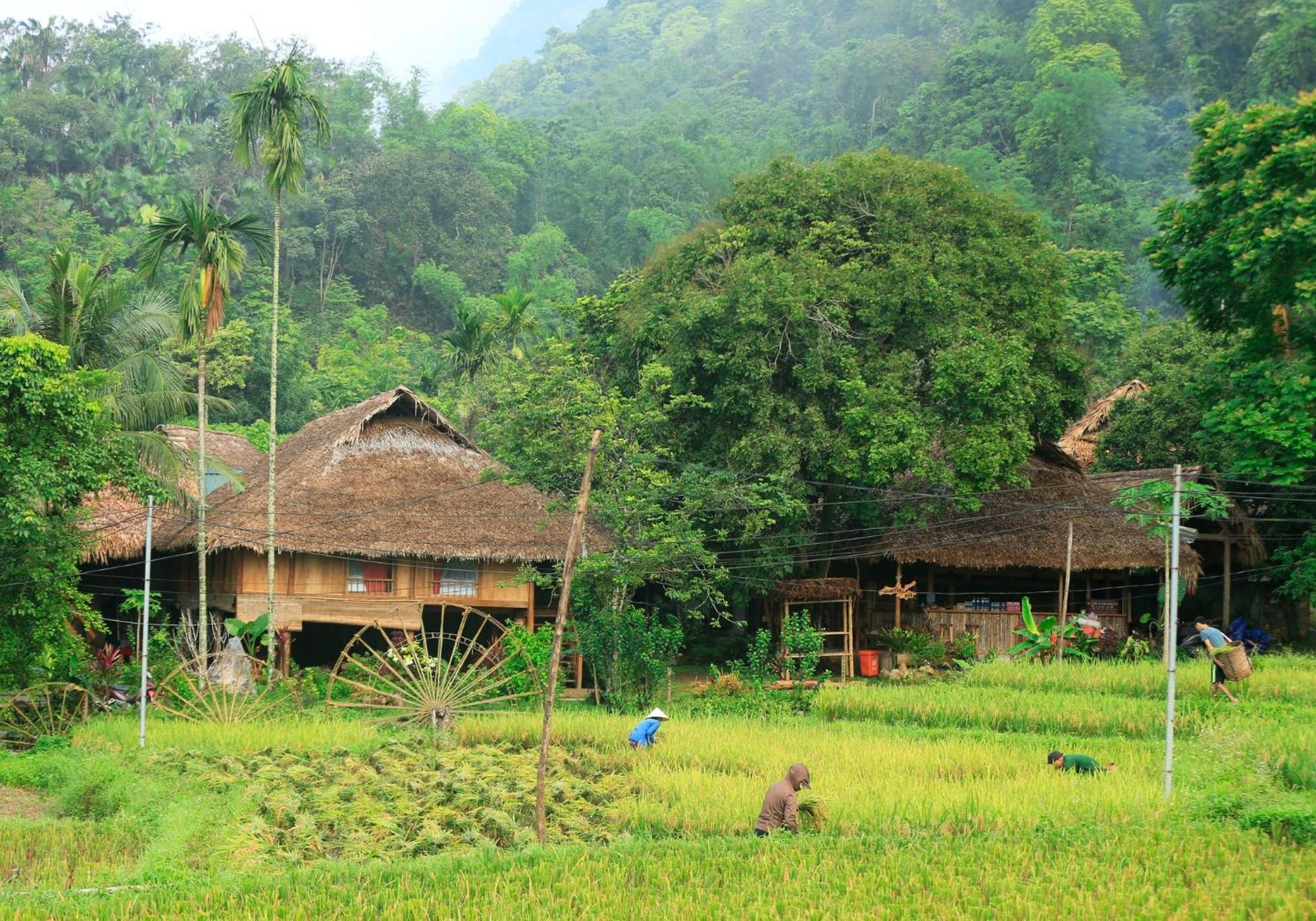 Thai House Pu Luong - Century Old Stilt House With Terrace Views Huong Ba Thuoc Exterior photo